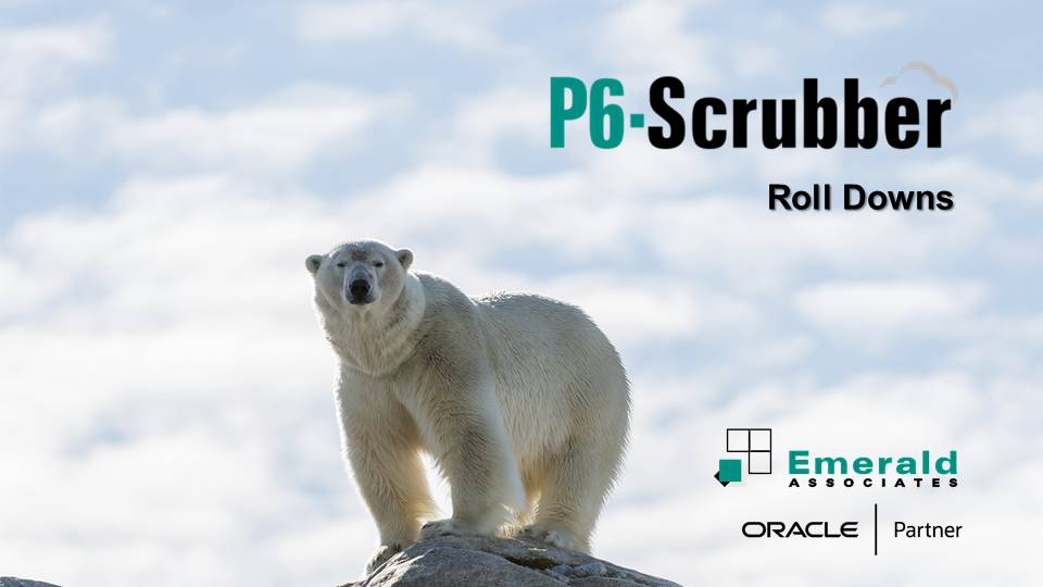 P6-Scrubber Roll Downs